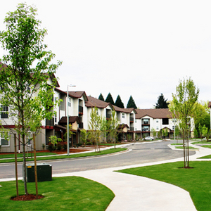 Overlooked Density: Re-Thinking Transportation Options in Suburbia